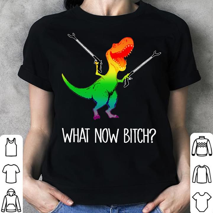LGBT What Now Bitch Dinosaur
