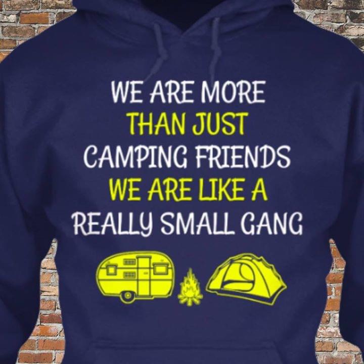 We Are More Than Just Camping Friends We Are Like A Really Small Gang