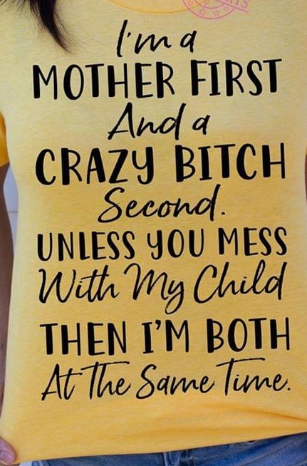 I'm A Mother First And A Crazy Bitch Second Unless You Mess With My Child Then I'm Both At The Same Time