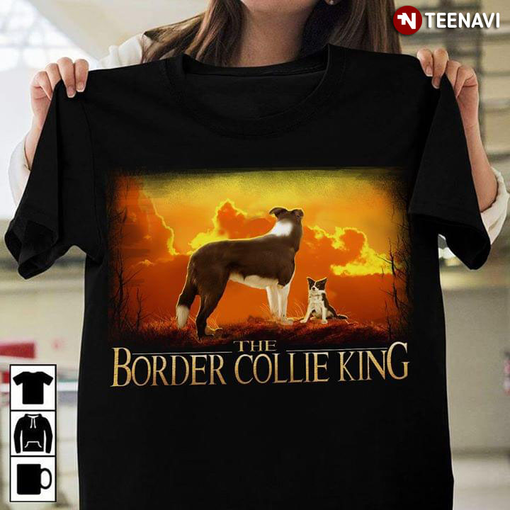 The Border Collie King The Lion King