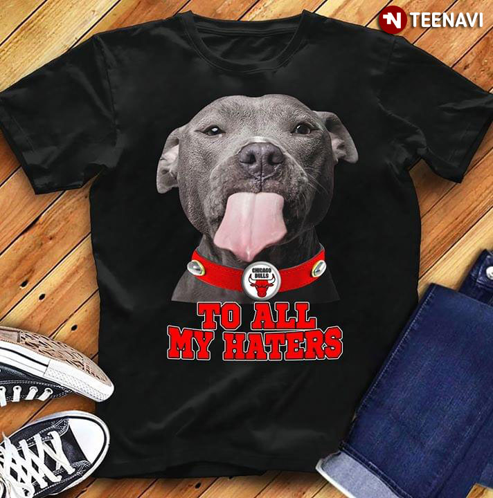 Pitbbull Chicago Bulls To All My Haters