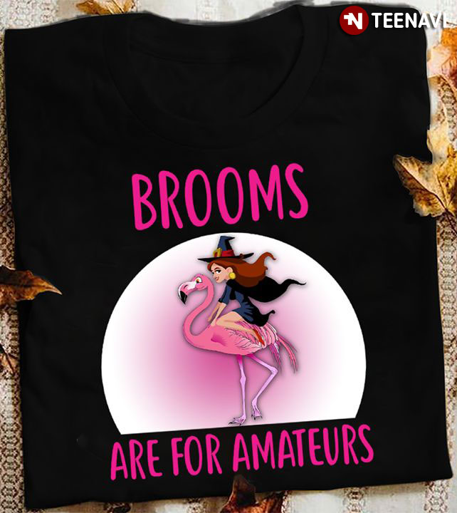 Funny Witch And Flamingo Brooms Are For Amateurs