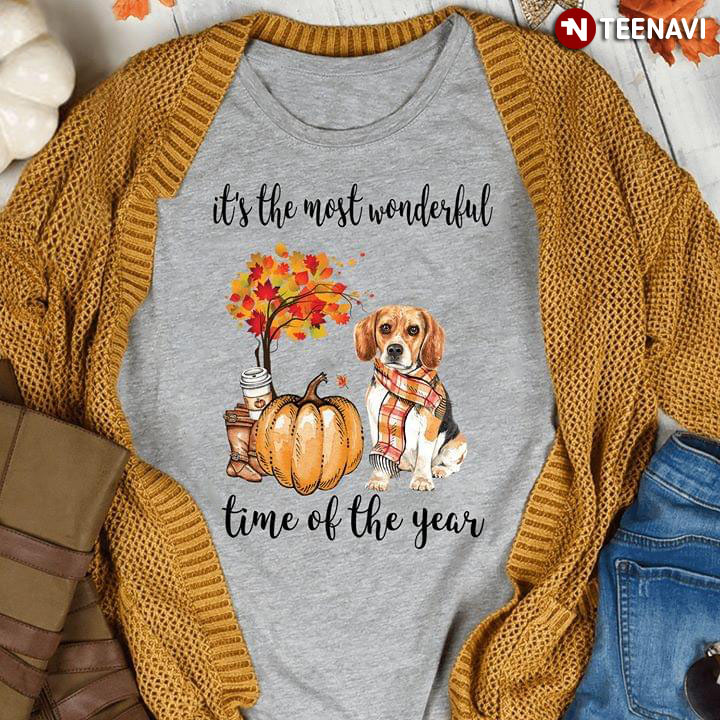 Beagle Fall It's The Most Wonderful Time Of The Year