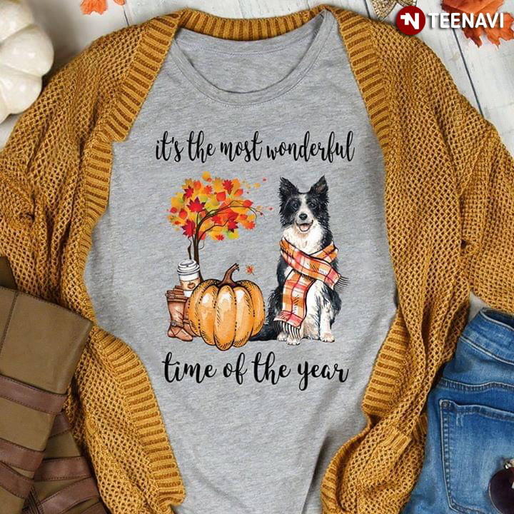 Border Collie Fall It's The Most Wonderful Time Of The Year