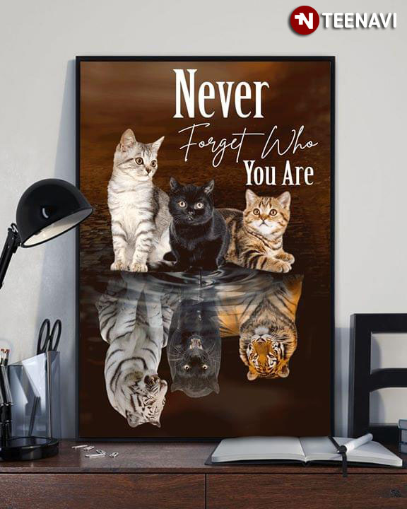 Kittens Tigers Never Forget Who You Are