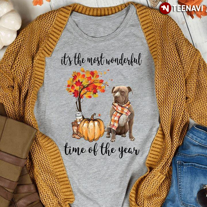 It's The Most Wonderful Time Of The Year American Pit Bull Terrier
