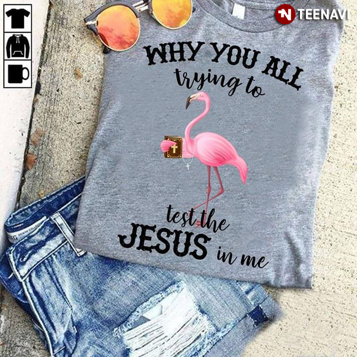 Flamingo Why You All Trying To Test The Jesus In Me