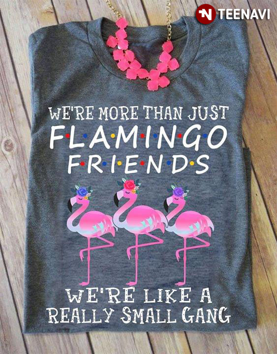 We're More Than Just Flamingo Friends We're Like A Really Small Gang
