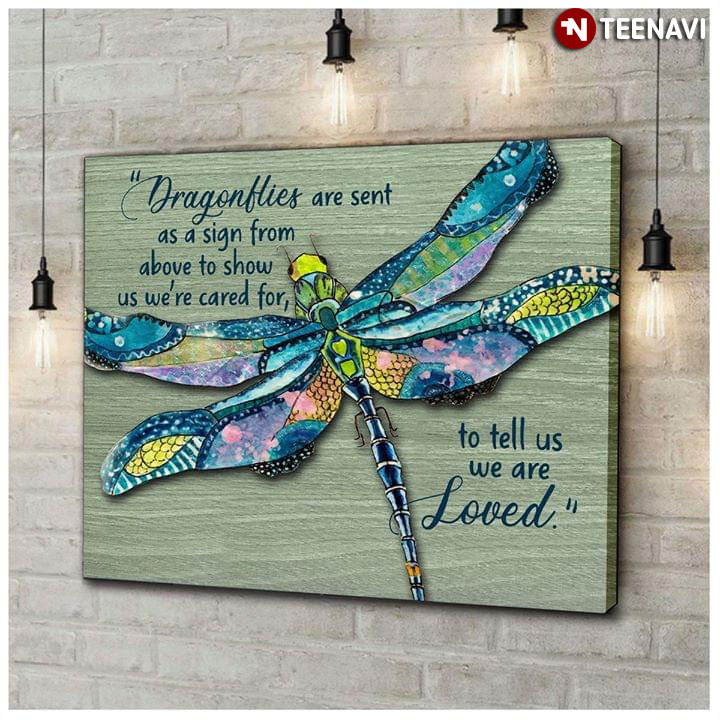 Dragonflies Are Sent As A Sign From Above To Show Us We're Cared For