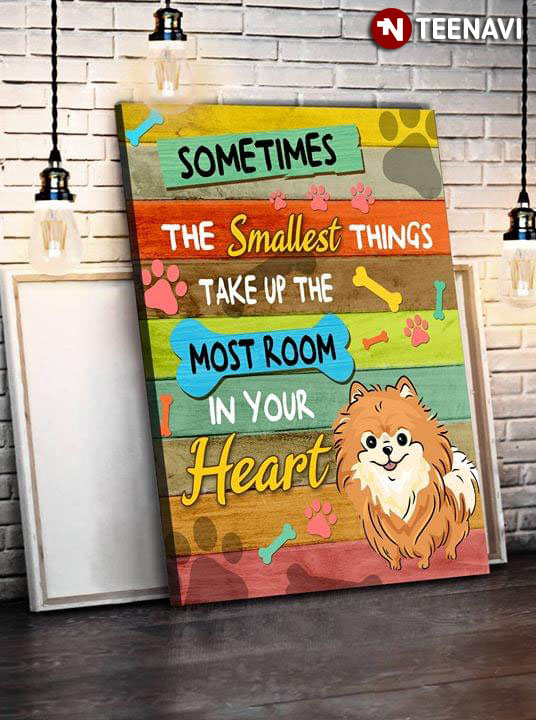 Pomeranian Sometimes The Smallest Things Take Up The Most Room In Your Heart