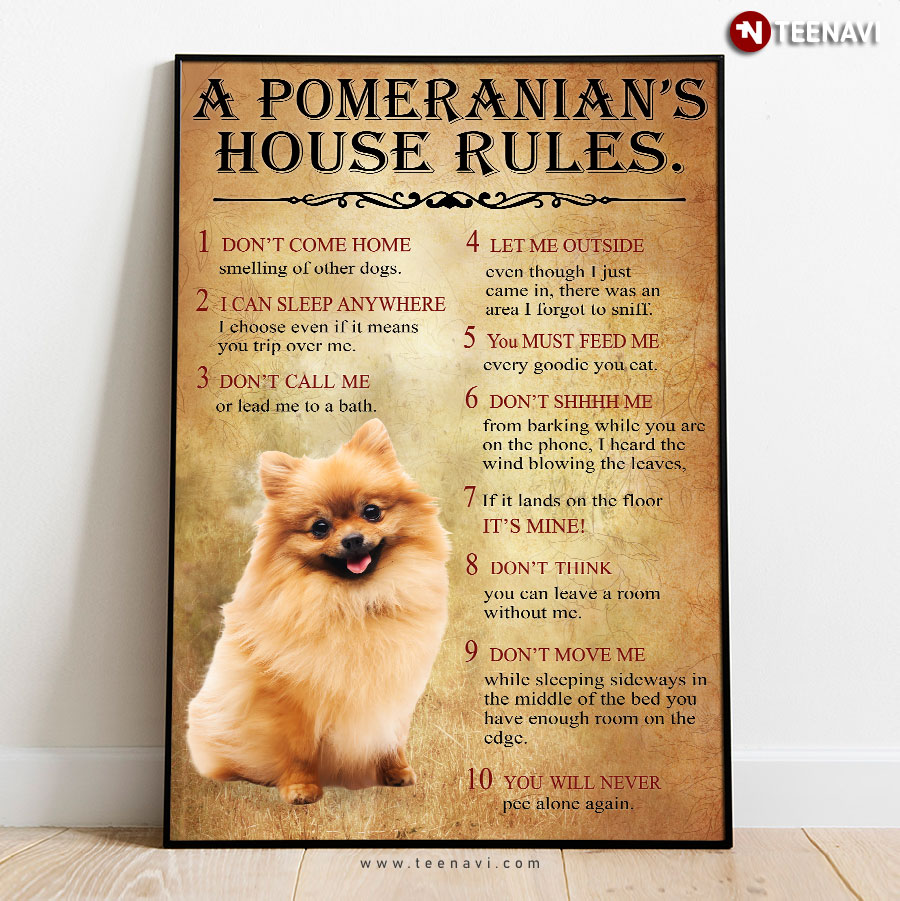 Funny A Pomeranian's House Rules 1 Don’t Come Home 2 I Can Sleep Anywhere 3 Don’t Call Me 4 Let Me Outside Poster