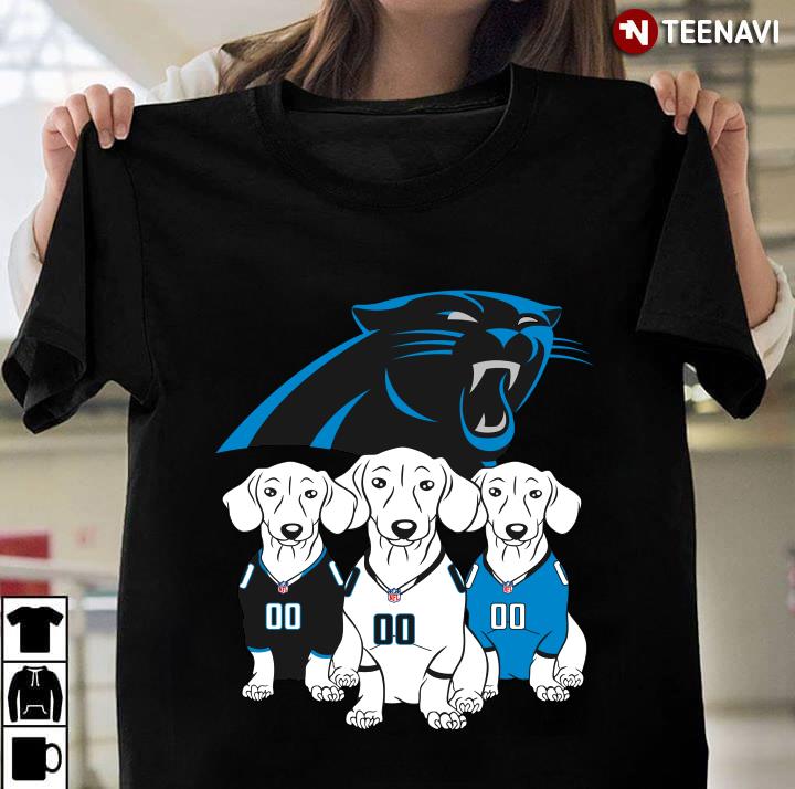 Carolina Panthers Dachshund Dogs