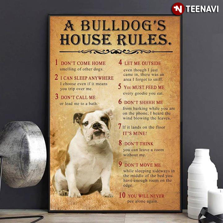Funny Bulldog A Bulldog’s House Rules 1 Don’t Come Home 2 I Can Sleep Anywhere 3 Don’t Call Me 4 Let Me Outside