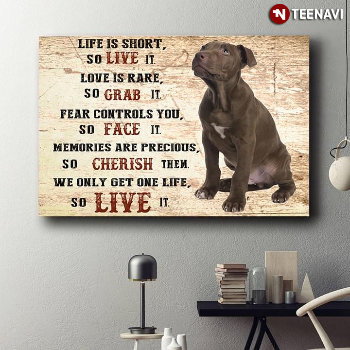 Pitbull Life Is Short So Live It Love Is Rare So Grab It Fear Controls You So Face It