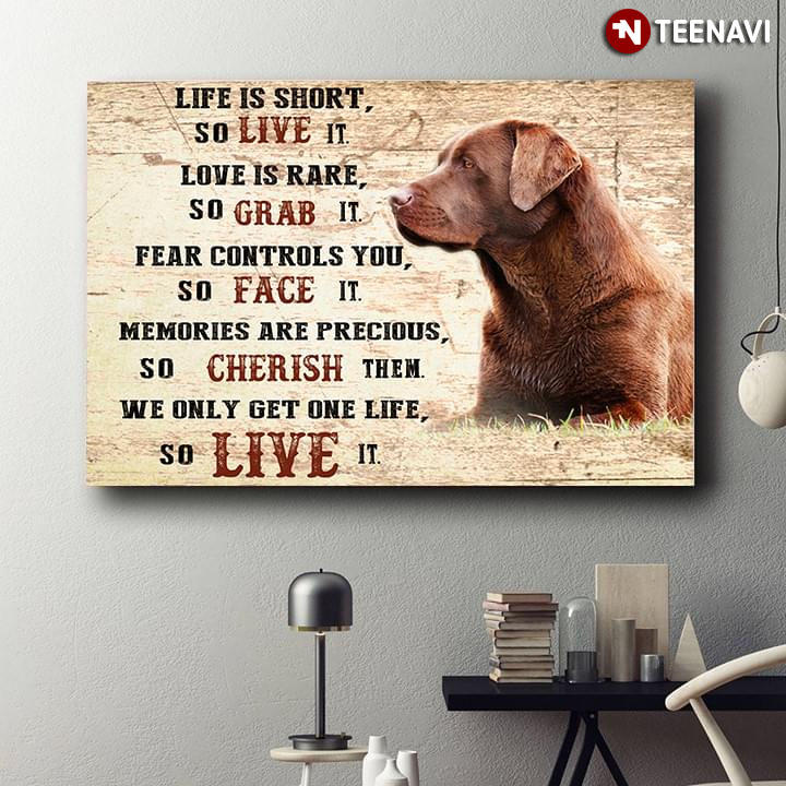 Chocolate Labrador Life Is Short So Live It Love Is Rare So Grab It Fear Controls You So Face It