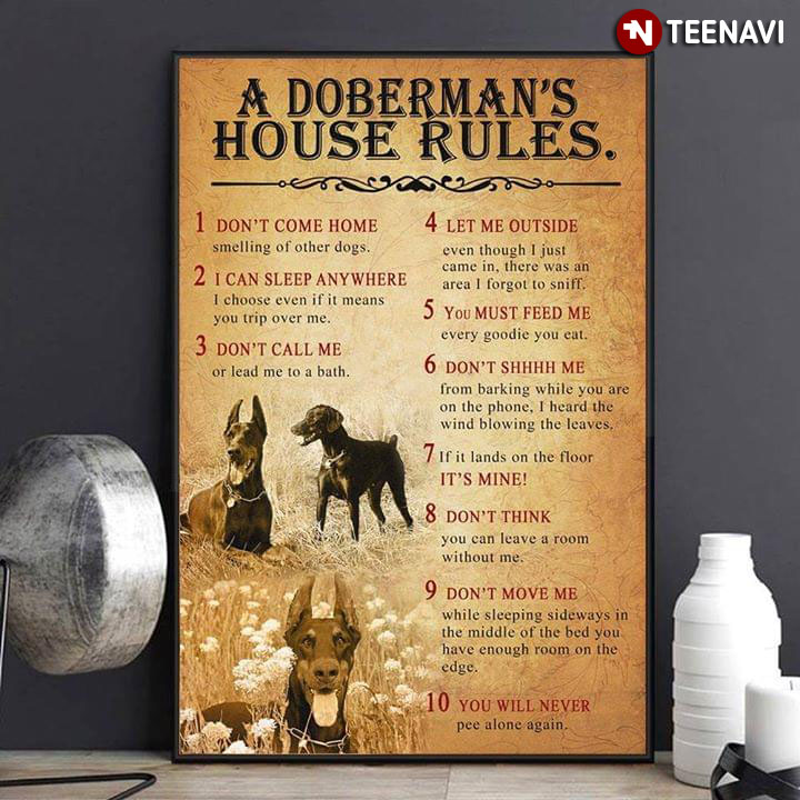 Funny Doberman Pinscher A Doberman's House Rules 1 Don't Come Home 2 I Can Sleep Anywhere 3 Don't Call Me 4 Let Me Outside