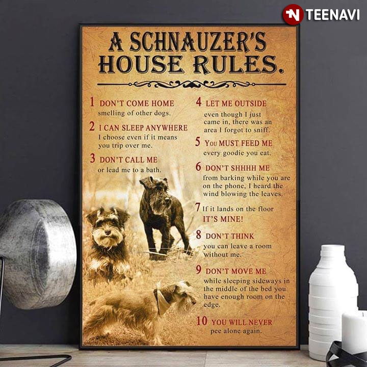 Funny Schnauzer A Schnauzer's House Rules 1 Don't Come Home 2 I Can Sleep Anywhere 3 Don't Call Me 4 Let Me Outside