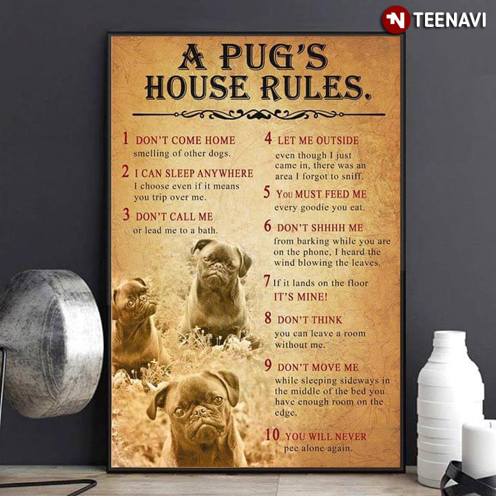 Funny Pug A Pug's House Rules 1 Don't Come Home 2 I Can Sleep Anywhere 3 Don't Call Me 4 Let Me Outside