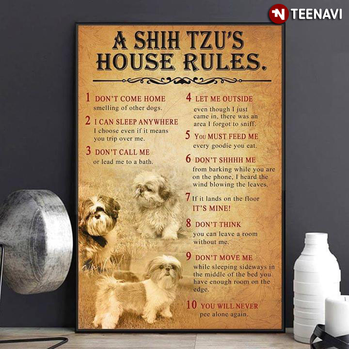 Funny Shih Tzu A Shih Tzu's House Rules 1 Don't Come Home 2 I Can Sleep Anywhere 3 Don't Call Me 4 Let Me Outside