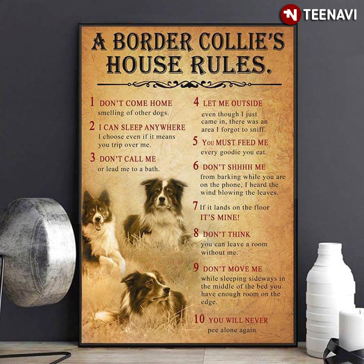 Funny Border Collie A Border Collie's House Rules 1 Don't Come Home 2 I Can Sleep Anywhere 3 Don't Call Me 4 Let Me Outside