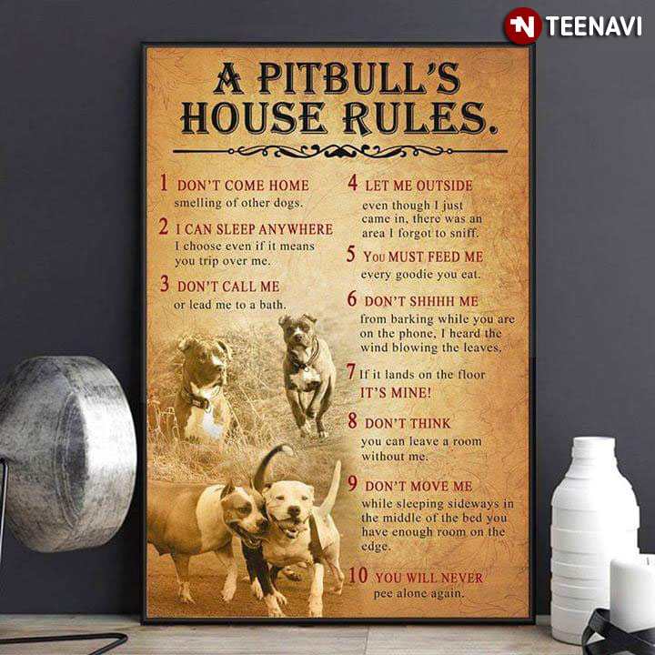 Funny Pitbull A Pitbull's House Rules 1 Don't Come Home 2 I Can Sleep Anywhere 3 Don't Call Me 4 Let Me Outside