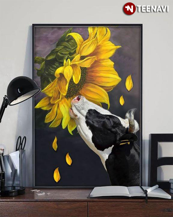 Adorable Dairy Cow Smelling A Sunflower