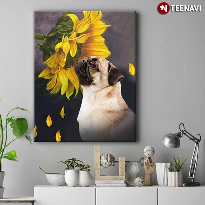 Adorable Pug Smelling A Sunflower