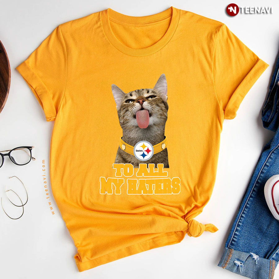 Mocking Cat Pittsburgh Steelers To All My Haters