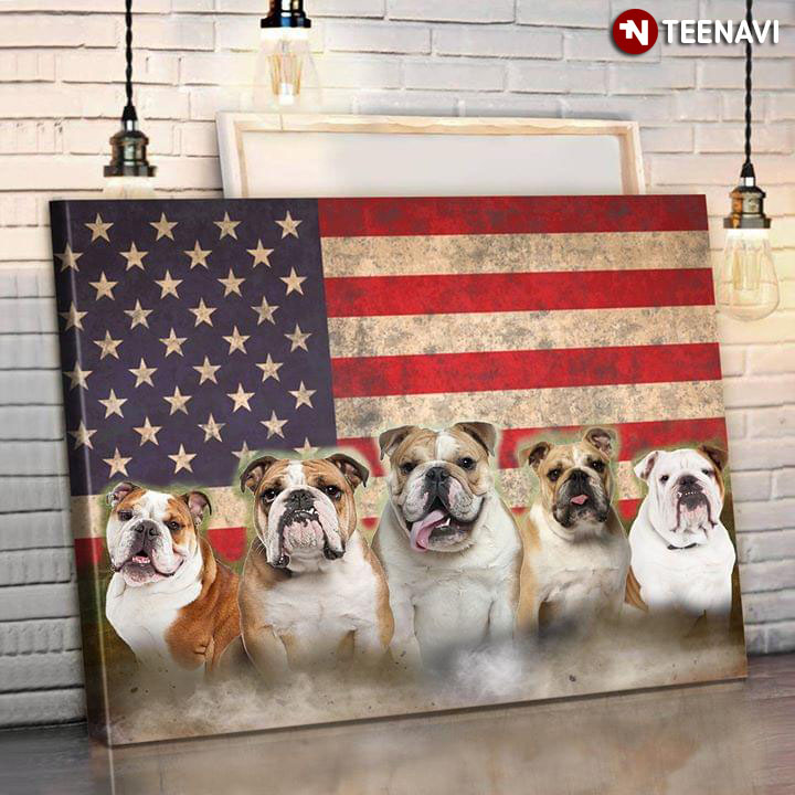 American Flag And Cool French Bulldogs