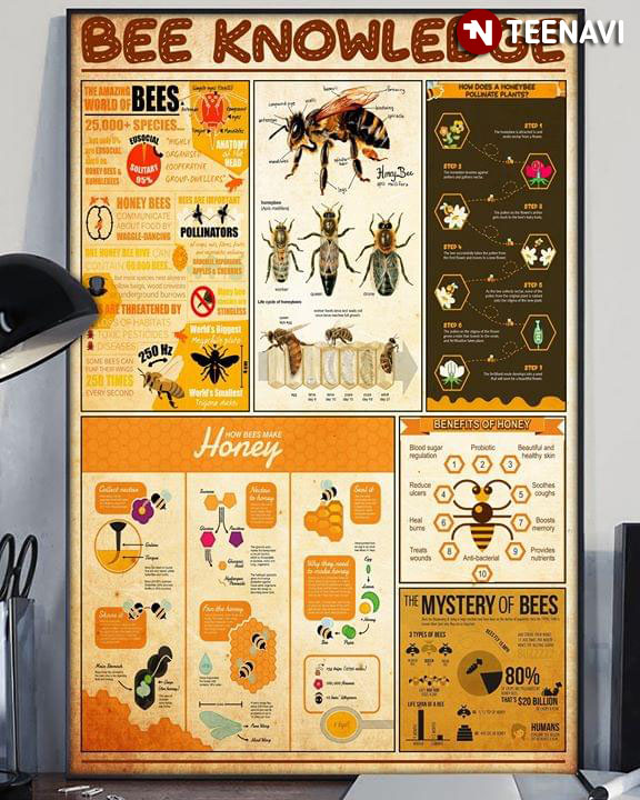 Bee Knowledge The Amazing World Of Bees How Bees Make Honey? Benefits Of Honey The Mystery Of Bees