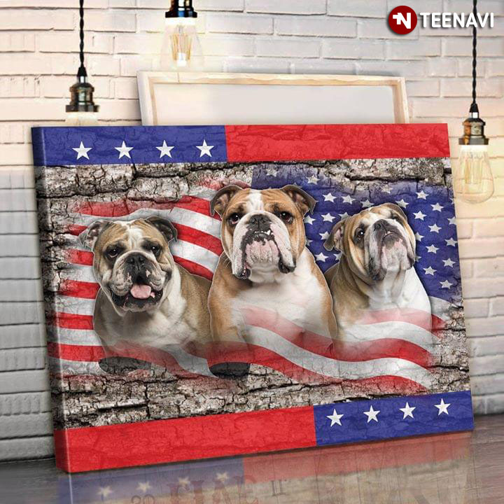 American Flag And Three Cool French Bulldogs