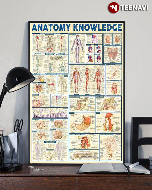 Anatomy Human Body Anatomy Knowledge