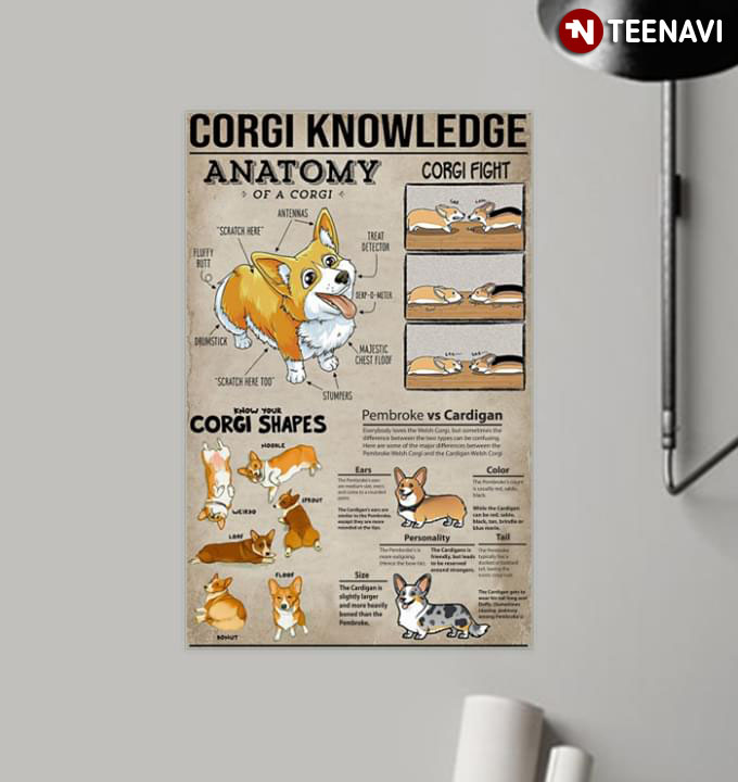 Corgi Knowledge Anatomy Of A Corgi Know Your Corgi Shapes Corgi Fight Pembroke Vs Cardigan
