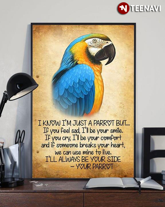 Parrot I Know I'm Just A Parrot But If You Feel Sad I'll Be Your Smile If You Cry I'll Be Your Comfort