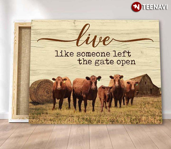 Funny Brown Cows Live Like Someone Left The Gate Open