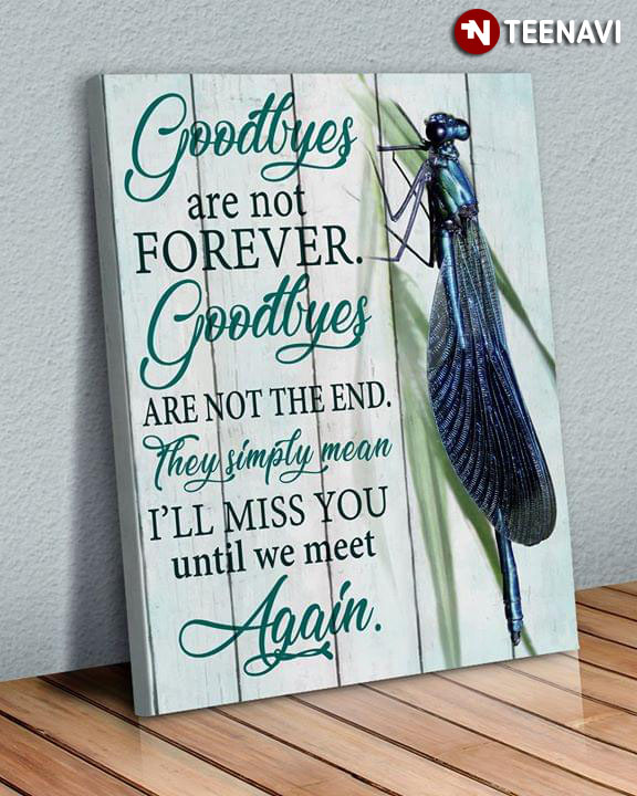 Dragonfly Goodbyes Are Not Forever Goodbyes Are Not The End They Simply Mean I'll Miss You Until We Meet Again