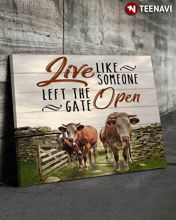Funny Brown And White Cows With Horns Live Like Someone Left The Gate Open