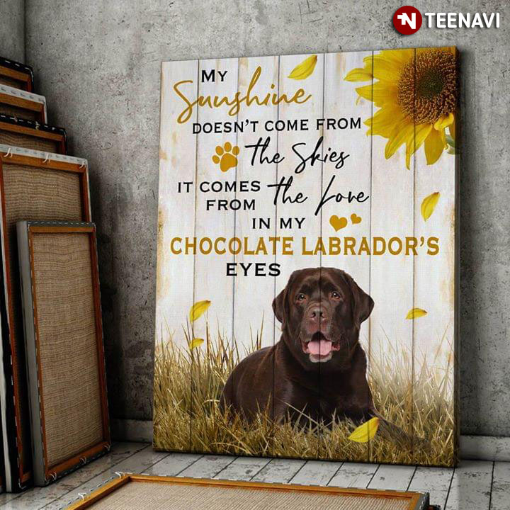 My Sunshine Doesn’t Come From The Skies It Comes From The Love In My Chocolate Labrador’s Eyes