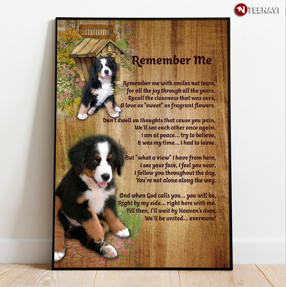 Bernese Mountain Dogs Remember Me Remember Me With Smiles Not Tears For All The Joy Through All The Years