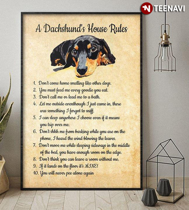 Funny A Dachshund's House Rules 1. Don't Come Home Smelling Like Other Dogs 2. You Must Feed Me Every Goodie You Eat