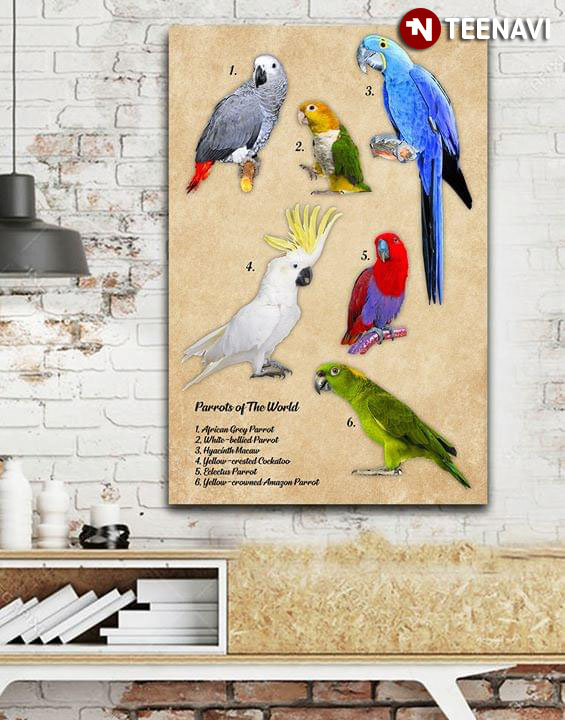Parrots Of The World 1. African Grey Parrot 2. White-bellied Parrot 3. Hyacinth Macaw 4. Yellow-crested Cockatoo 5. Eclectus Parrot 6. Yellow-crowned Amazon Parrot