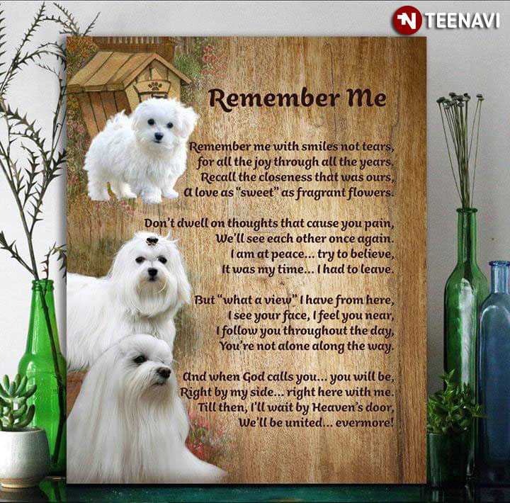Cute Maltese Dogs Remember Me Remember Me With Smiles Not Tears For All The Joy Through All The Years