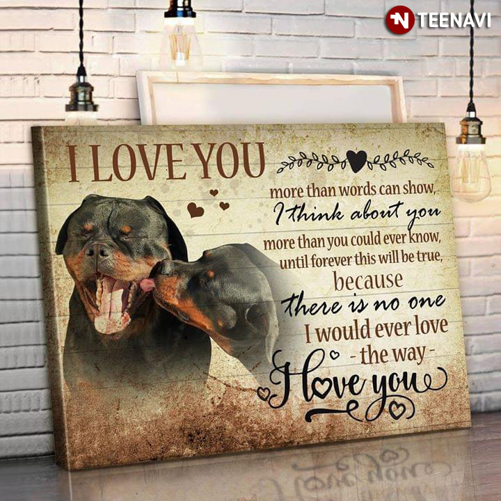 A Lovely Rottweiler Couple I Love You More Than Words Can Show I Think About You More Than You Could Ever Know