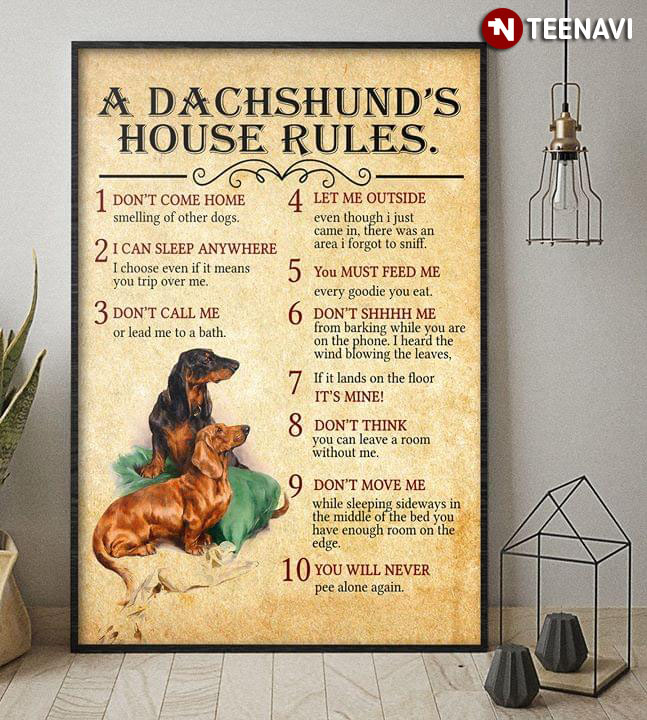 Funny A Dachshund’s House Rules 1 Don’t Come Home 2 I Can Sleep Anywhere 3 Don’t Call Me 4 Let Me Outside