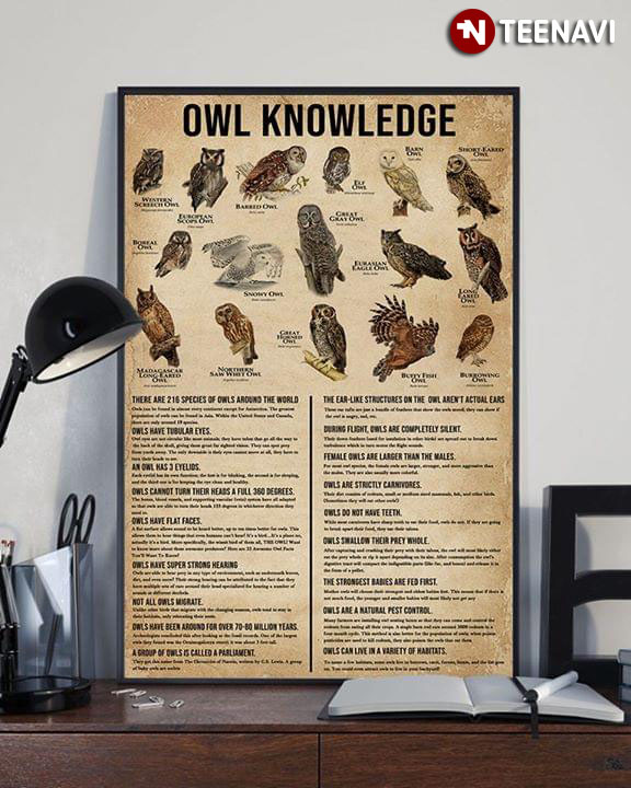 Owl Knowledge There Are 216 Species Of Owls Around The World