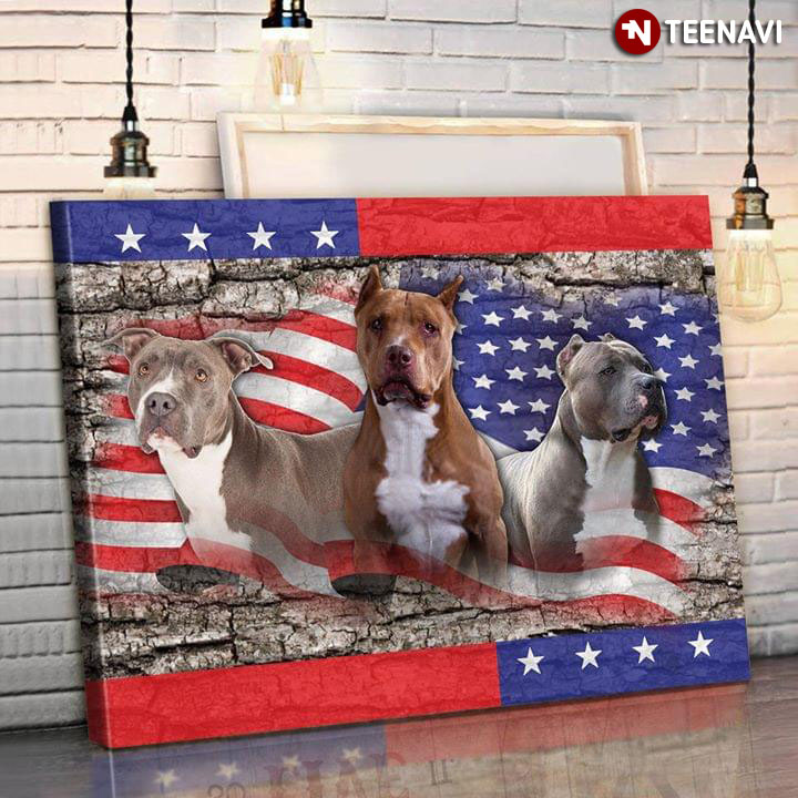 Pitbull Dogs And American Flag For American Patriots