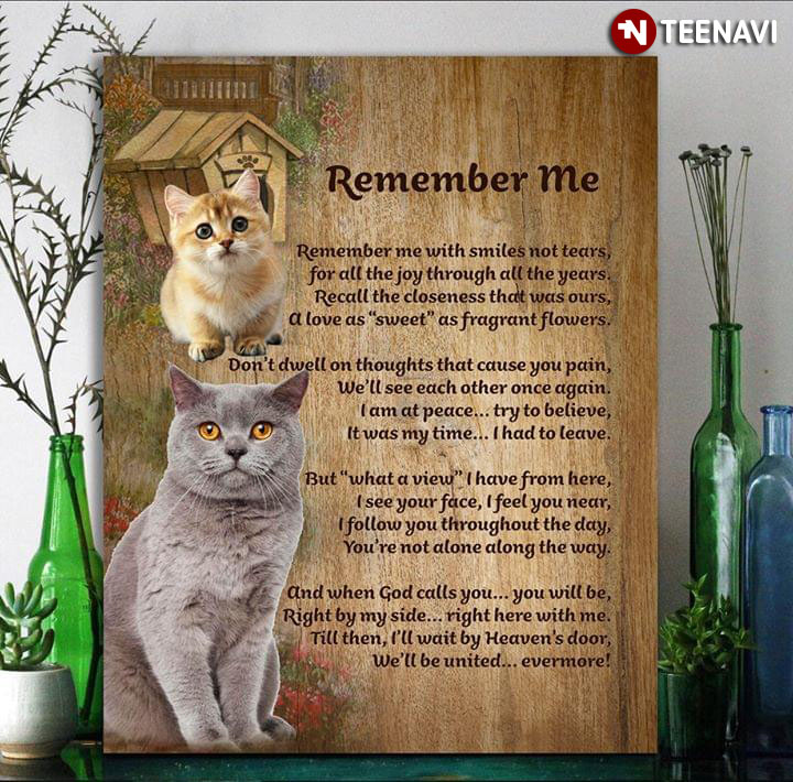 Cute Domestic Short-haired Cats Remember Me Remember Me With Smiles Not Tears For All The Joy Through All The Years