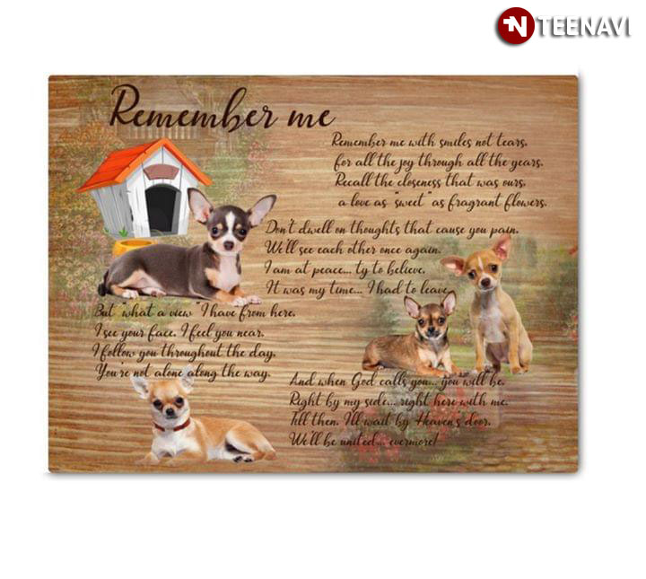 Cute Chihuahua Puppies Remember Me Remember Me With Smiles Not Tears For All The Joy Through All The Years
