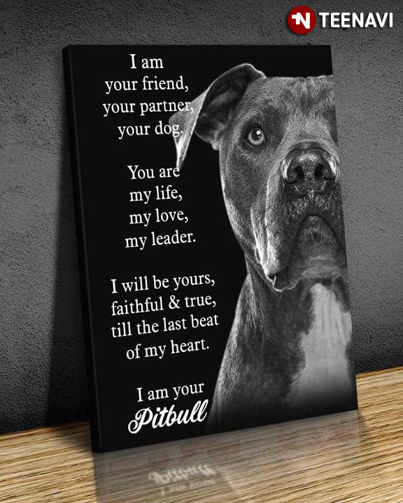 Black & White Pitbull I Am Your Friend Your Partner Your Dog You Are My Life My Love My Leader