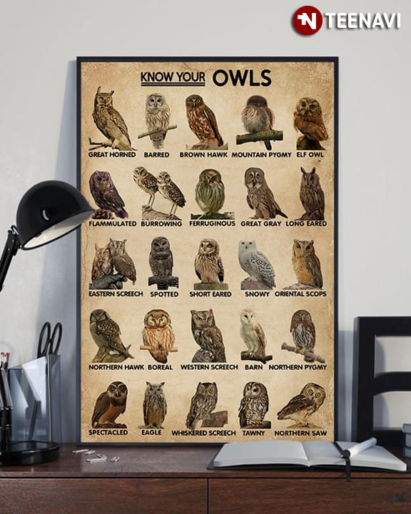 Know Your Owls Great Horned Barred Brown Hawk Mountain Pygmy Elf Owl Flammulated Burrowing